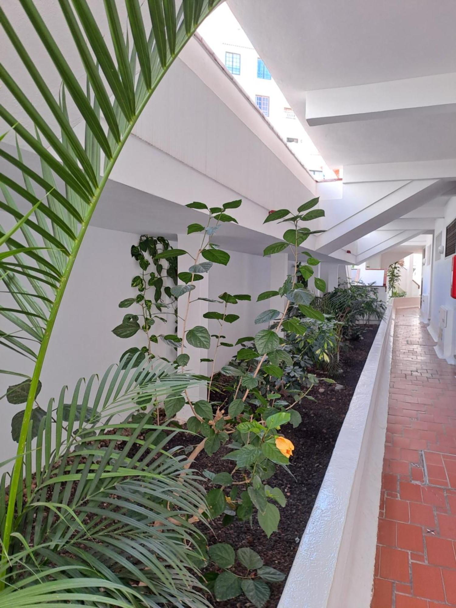 Ancora Home, Los Diamantes, Tenerife Los Cristianos  Exterior foto